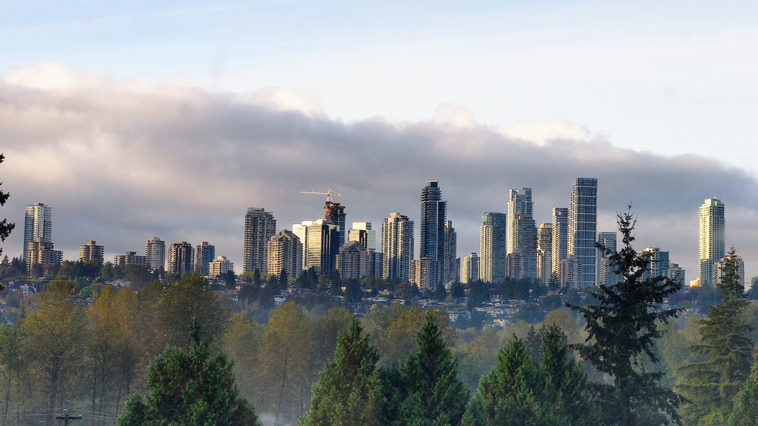 Metrotown towers in Burnaby rising behind trees and house rooftops